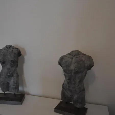 Alice コクセッド