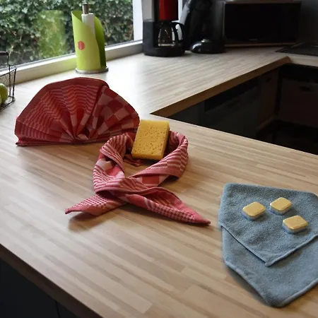 Alice Holiday home Koksijde